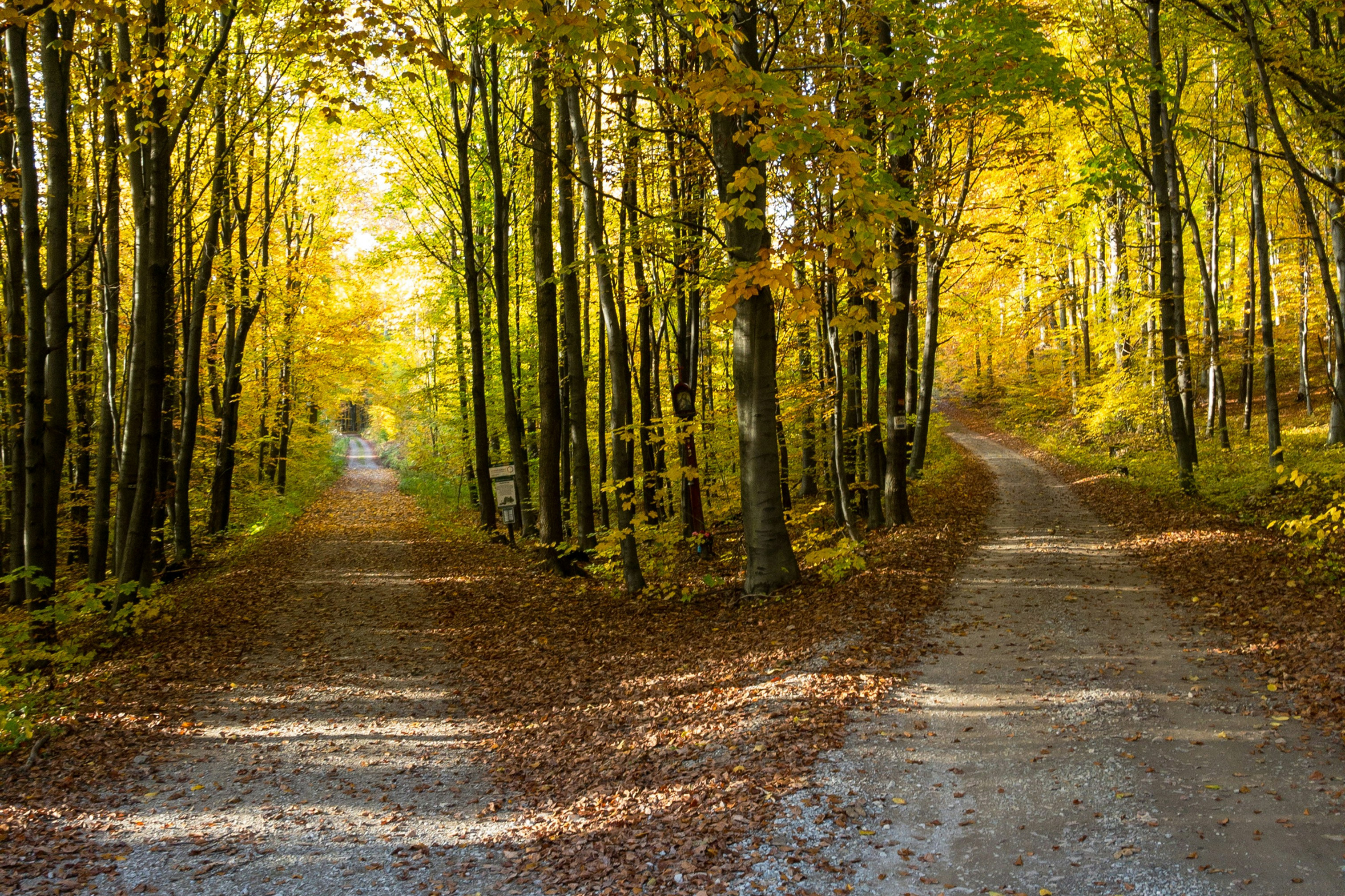 Two paths on the journey.