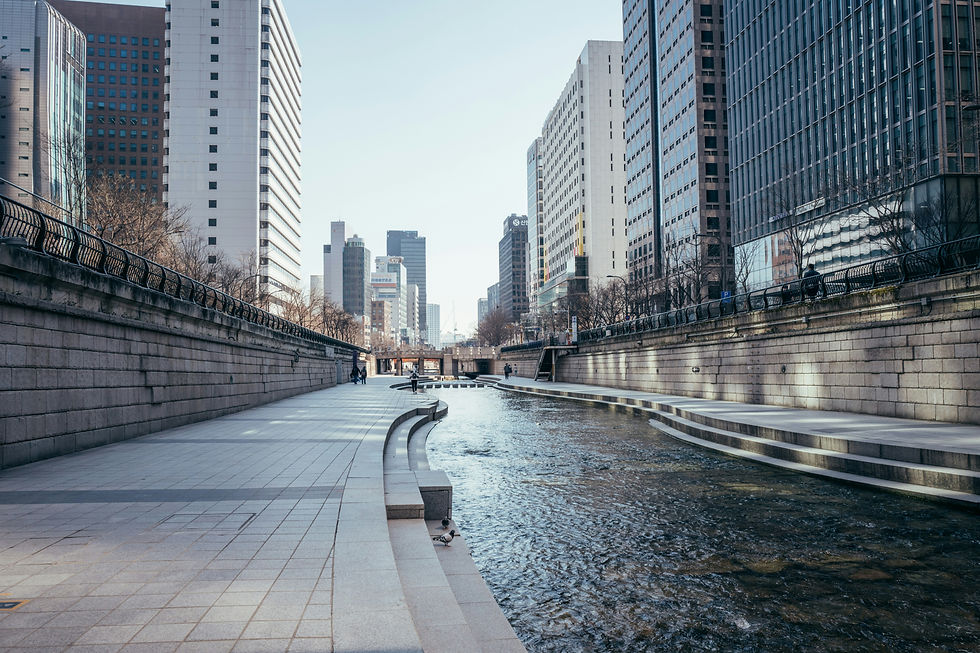 Cours d'eau et berges en zone urbaine | DPZ Drilling
