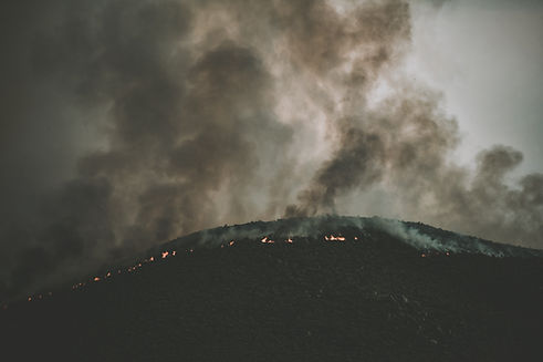 Image by Tim Mossholder