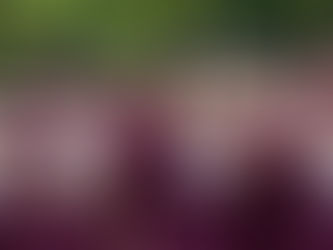 From enforcer to coach: how CFOs can build high-performing teams