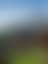 Viajar a Suiza en abril 2026: ¿vale la pena?