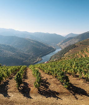 Image by Maksym Kaharlytskyi