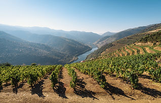 Image by Maksym Kaharlytskyi