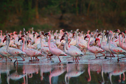Image by Jeet Sandhu