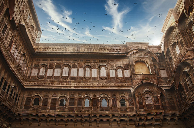 Image by Setu Chhaya