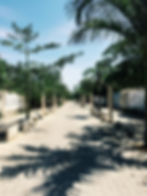 Gianfranco Macchiavello, licensed real estate agent specializing in Playa del Carmen, Riviera Maya, and Mérida investment pro