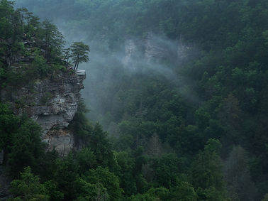Image by Intricate Explorer