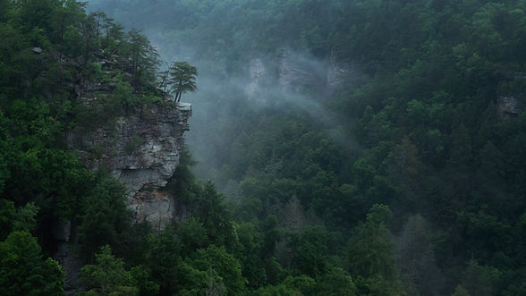 Image by Intricate Explorer