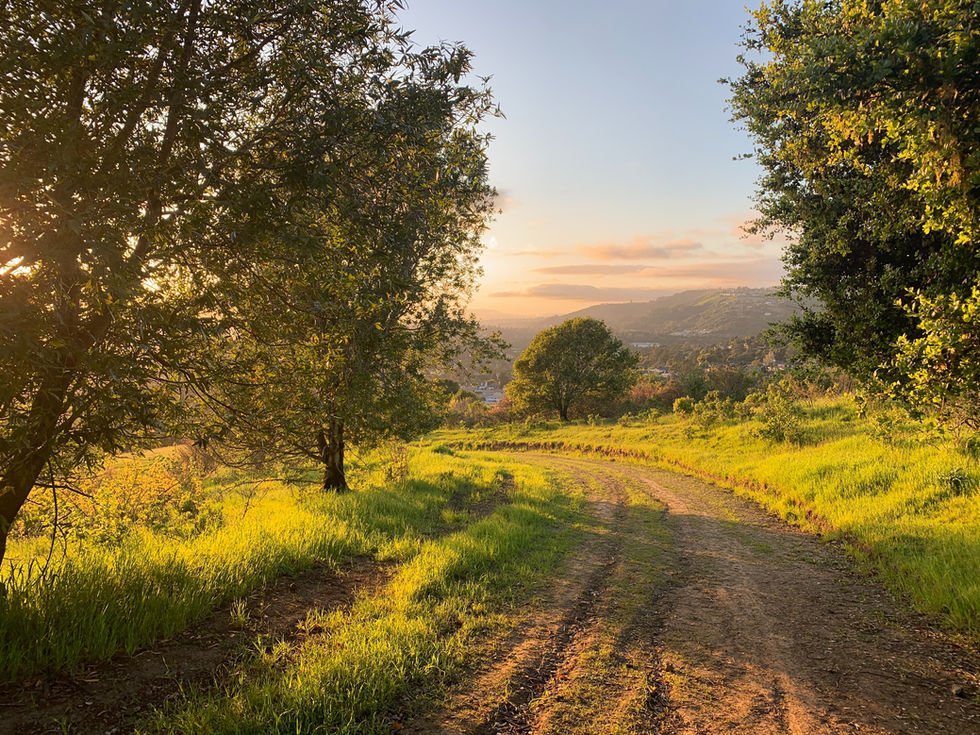 Image by Aaron
