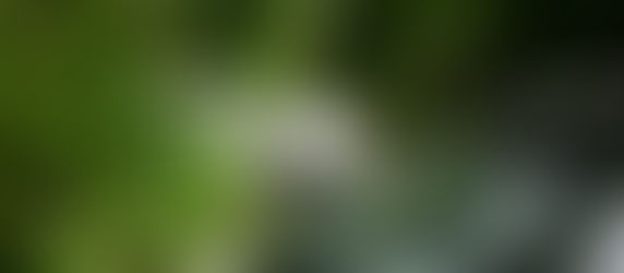 Bijna 14.000 kandidaten voor rijbewijs in Brussel legden EHBO-cursus af