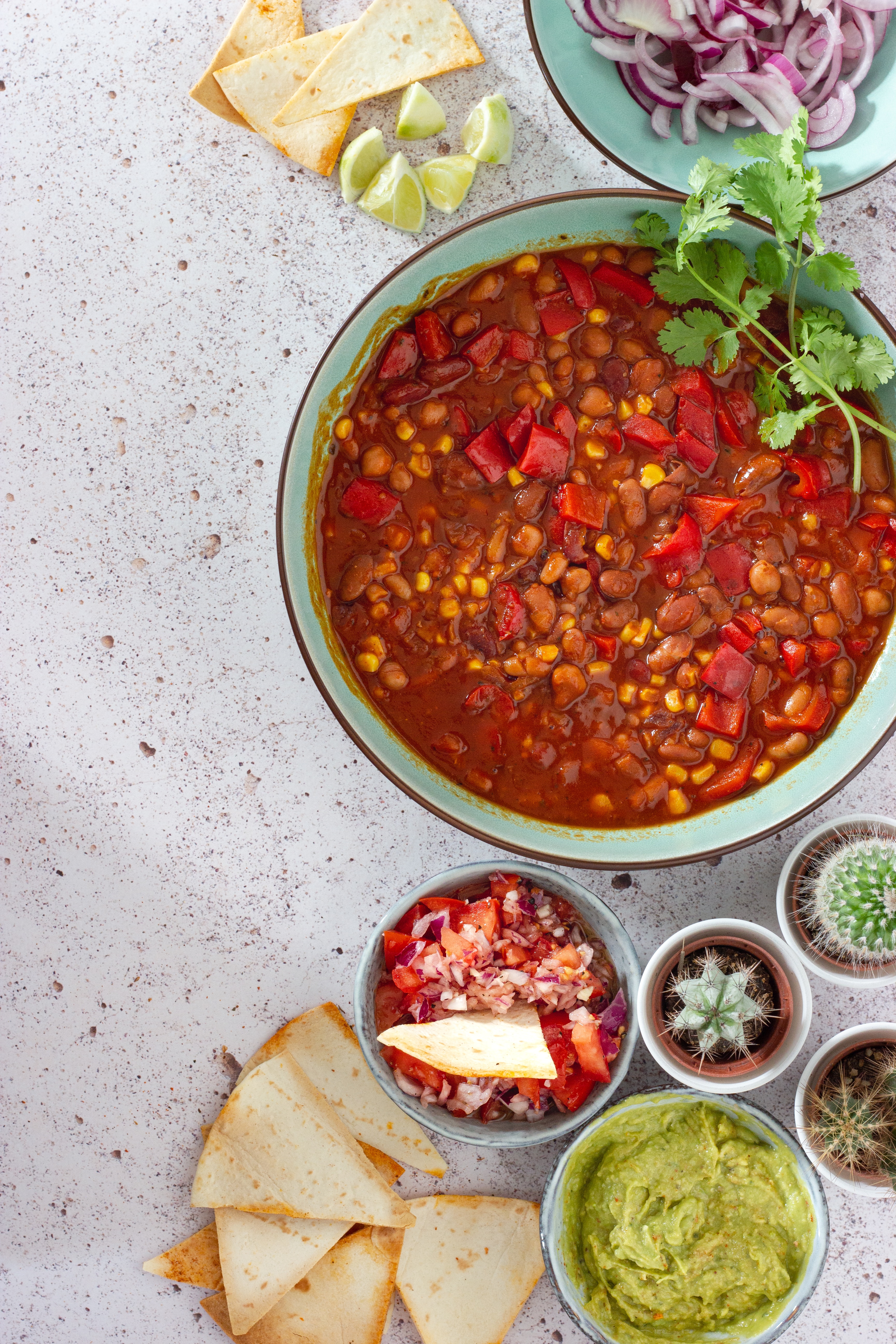 Vegan Winter Chili