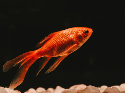 Top 10 oddest excuses’ for late tax returns