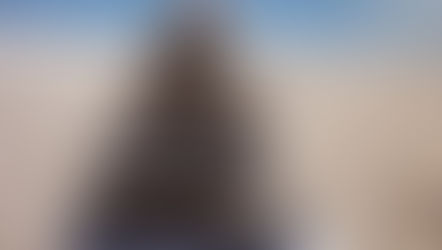 Elevate Your State Week 7 - The Alchemy of Alignment: Bringing Mind, Body, and Spirit into Harmony