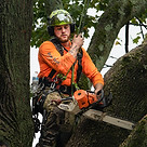 Image by Paula Morin