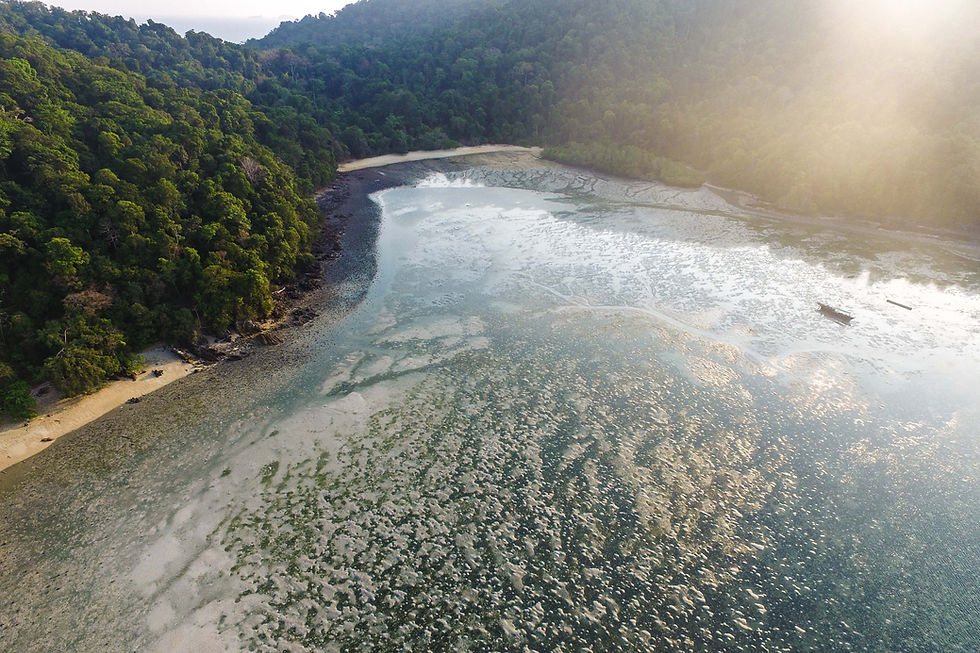 Image by Benjamin L. Jones