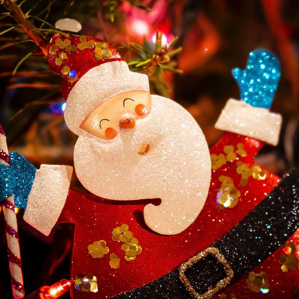 Santa Photos - Wednesday 20th December