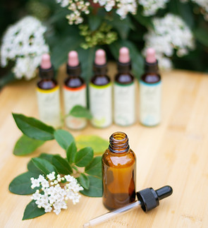 Image by Ayla Verschueren