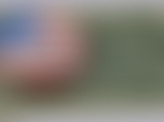 dollar bill with american flag pin on it