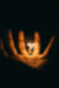 Image by Rohan Makhecha