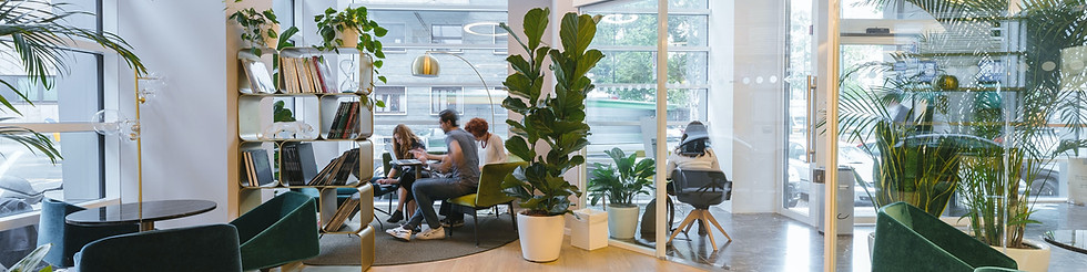 Stylish office with plants