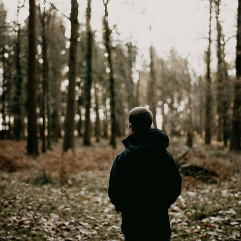 A person in a dark jacket stands in a forest, surrounded by tall trees and scattered leaves, under a muted, overcast sky. Quiet and serene mood.