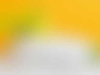 White pillow with yellow flowers in a vase and a small green succulent in a pot on a white surface against a vibrant orange background.
