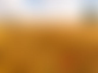 Book of Ruth - מגילת רות באנגלית