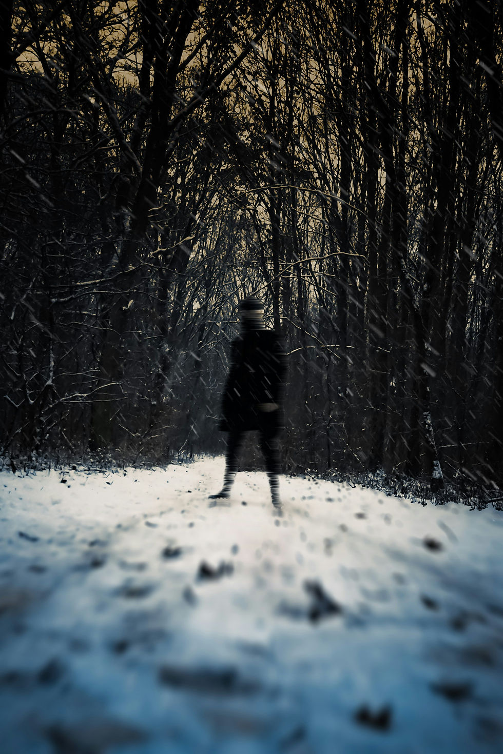Image by Henrik L.