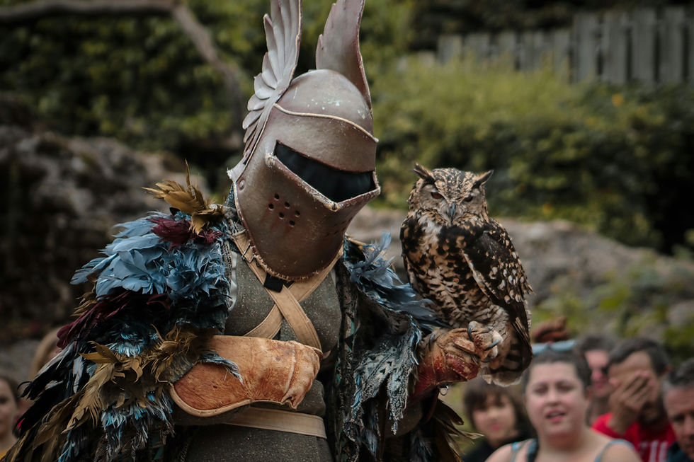 LE PUY DU FOU ET PARC ORIENTAL DE MAULEVRIER