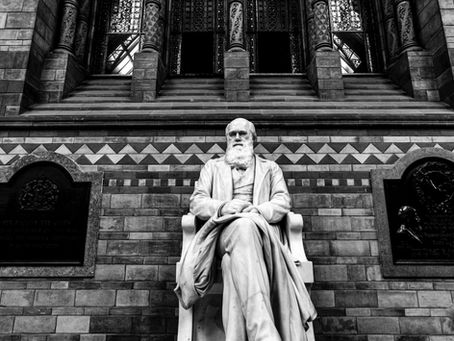 Thoughts on Darwin's Day