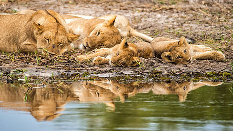 Image by Birger Strahl