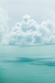 Image by Romello Williams