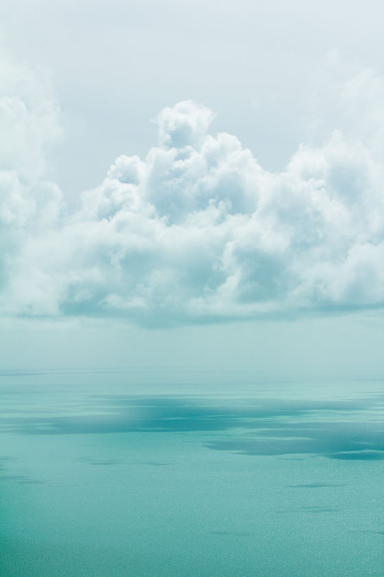 Image by Romello Williams