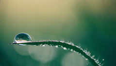 Environmental Performance Index offers a global scorecard of climate and nature progress