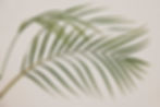 Palm Sunday Service