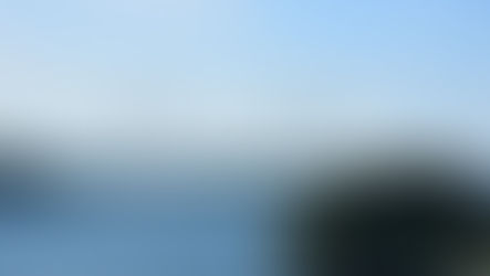 Utenlandsk vind i norske seil