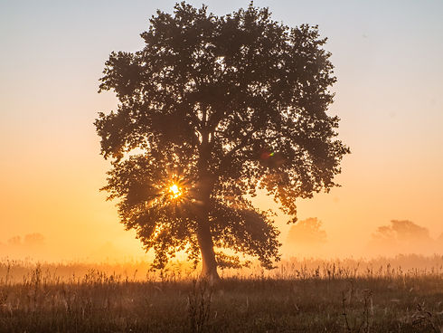 Image by Radek Kilijanek