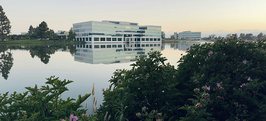 Image by Derrick Taylor