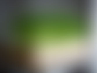 From Tiny Seeds to Super Greens: A Beginner's Guide to Growing Microgreens at Home