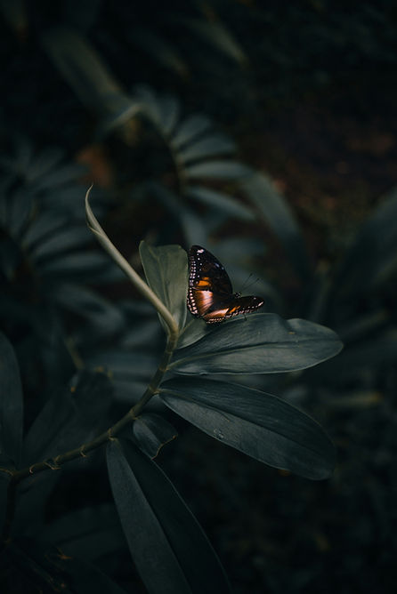 Image by Arun Clarke