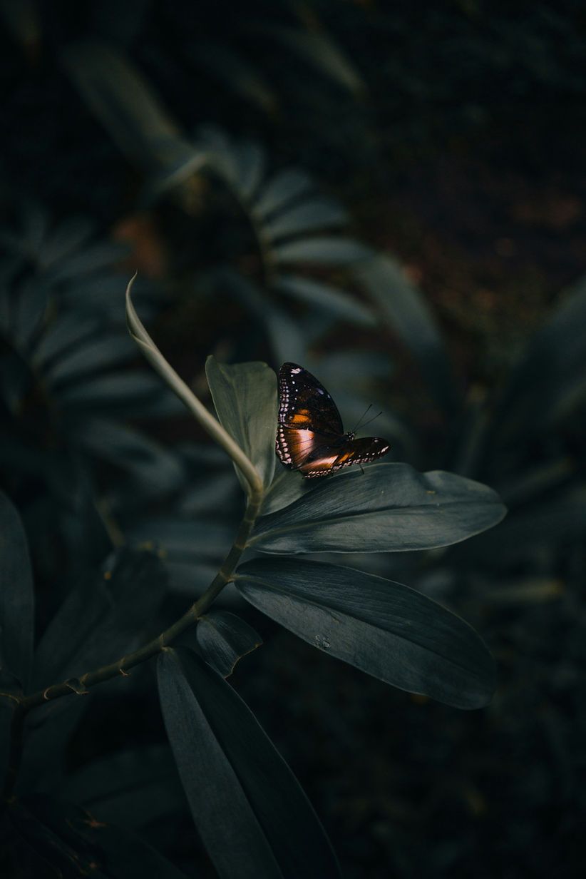 Image by Arun Clarke