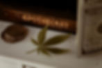 Navigating the Green: Cannabis Science in Clinical Practice