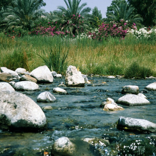 Freshwater stream from the Seven Springs flowing over rocks into the Sea of Galilee at Tabgha.