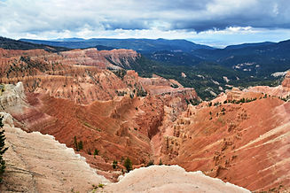 Image by Jeffrey Eisen