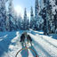 Foto van schrijver: Betaalbaar Lapland