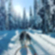 Image de Simon Smith