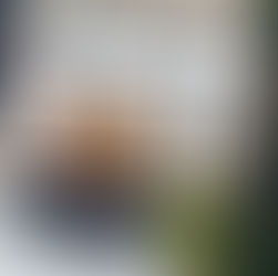 5 måder at spotte en phishing hjemmeside