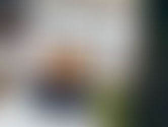 How to Build an Online Presence for Your Local Business