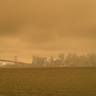 San Francisco Chronicle | How will California wineries recover from wildfires?
