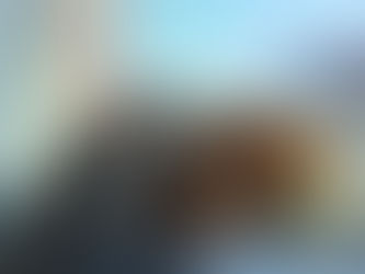 A brown and white dog sleeps peacefully on a windowsill, basking in sunlight. The background is blurred, suggesting an urban setting.